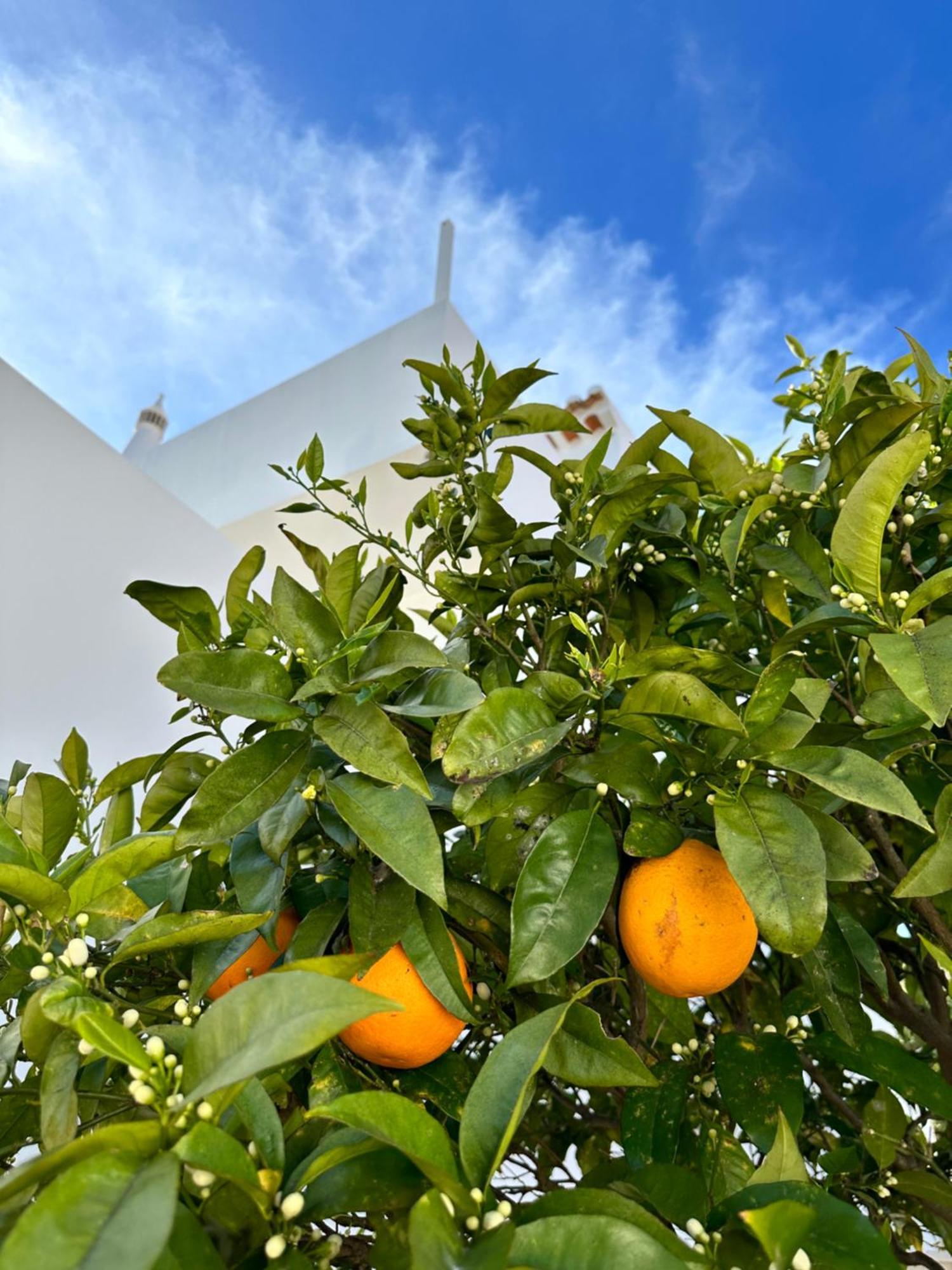 Casa Malia Luxury Guest House Praia Da Luz Luaran gambar